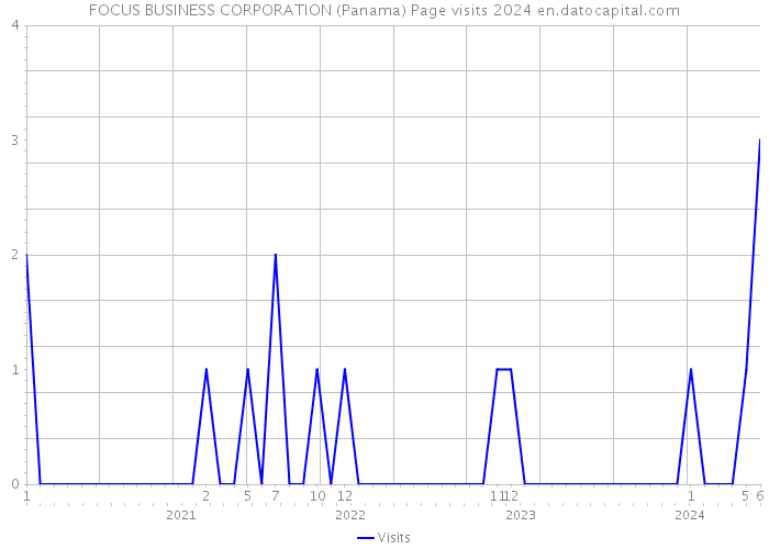 FOCUS BUSINESS CORPORATION (Panama) Page visits 2024 