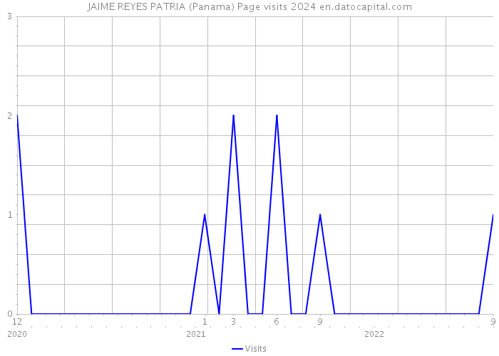 JAIME REYES PATRIA (Panama) Page visits 2024 