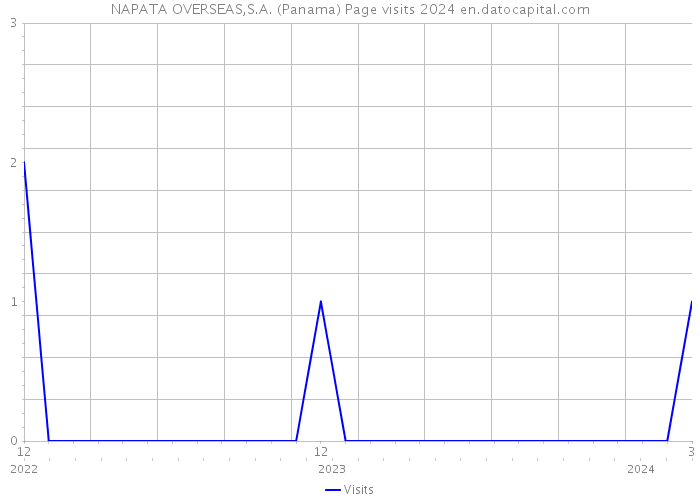 NAPATA OVERSEAS,S.A. (Panama) Page visits 2024 