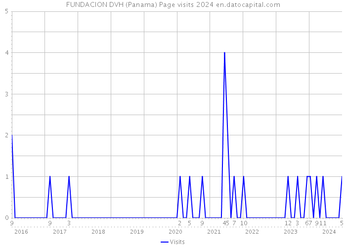FUNDACION DVH (Panama) Page visits 2024 