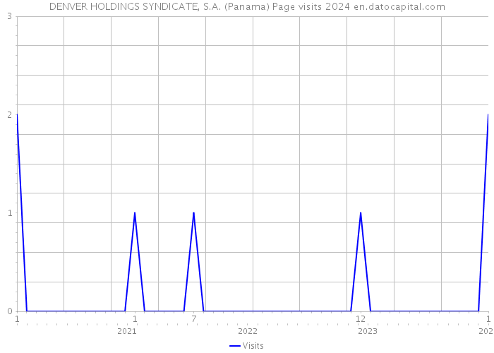 DENVER HOLDINGS SYNDICATE, S.A. (Panama) Page visits 2024 