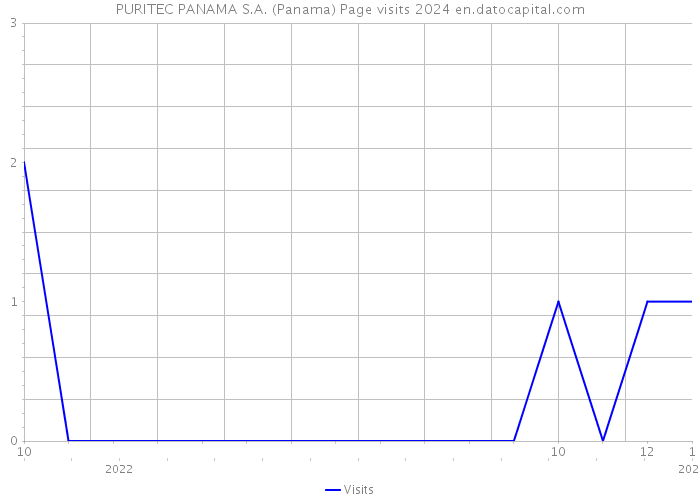 PURITEC PANAMA S.A. (Panama) Page visits 2024 