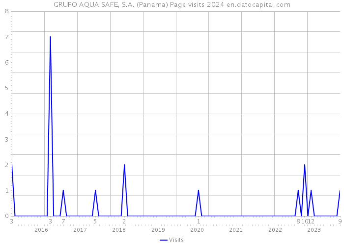 GRUPO AQUA SAFE, S.A. (Panama) Page visits 2024 