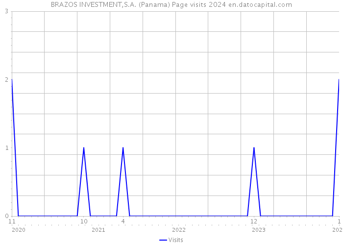 BRAZOS INVESTMENT,S.A. (Panama) Page visits 2024 