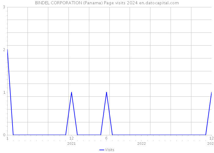 BINDEL CORPORATION (Panama) Page visits 2024 