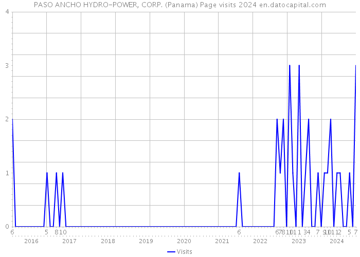 PASO ANCHO HYDRO-POWER, CORP. (Panama) Page visits 2024 