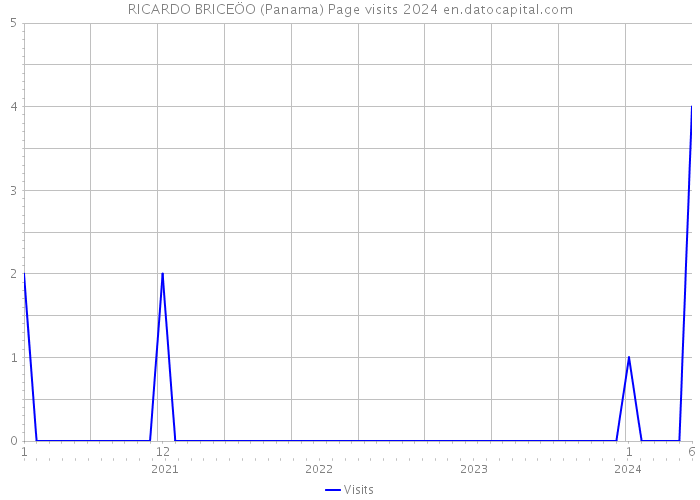 RICARDO BRICEÖO (Panama) Page visits 2024 