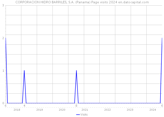 CORPORACION HIDRO BARRILES, S.A. (Panama) Page visits 2024 