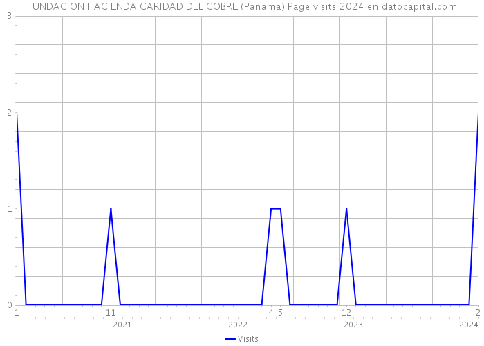 FUNDACION HACIENDA CARIDAD DEL COBRE (Panama) Page visits 2024 
