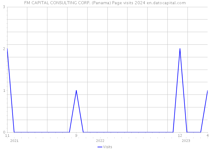 FM CAPITAL CONSULTING CORP. (Panama) Page visits 2024 