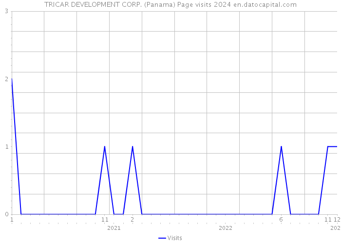 TRICAR DEVELOPMENT CORP. (Panama) Page visits 2024 