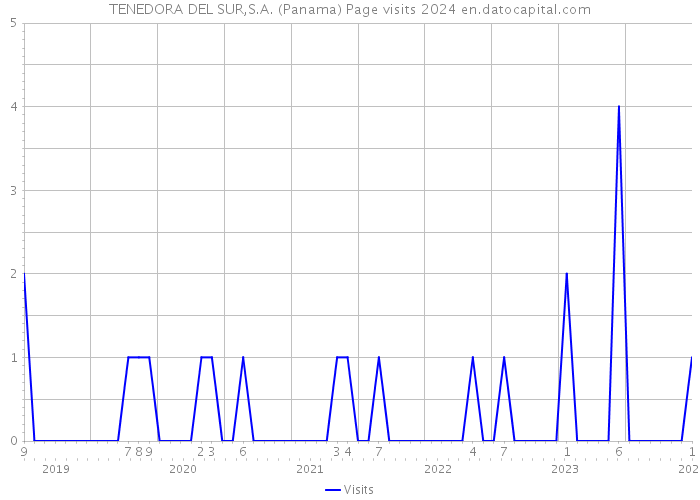 TENEDORA DEL SUR,S.A. (Panama) Page visits 2024 