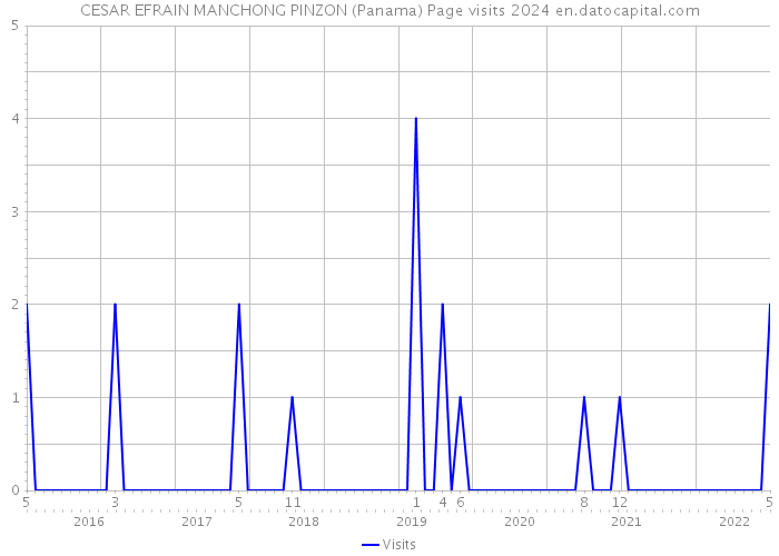 CESAR EFRAIN MANCHONG PINZON (Panama) Page visits 2024 