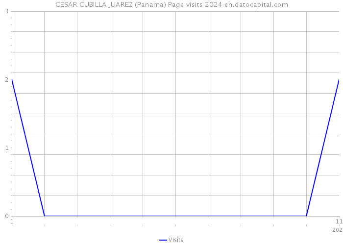 CESAR CUBILLA JUAREZ (Panama) Page visits 2024 
