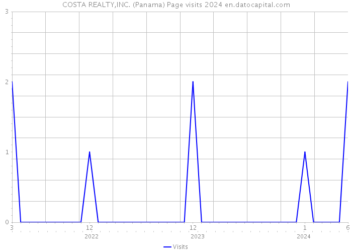 COSTA REALTY,INC. (Panama) Page visits 2024 