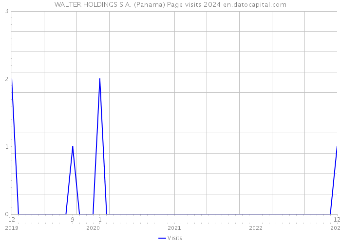 WALTER HOLDINGS S.A. (Panama) Page visits 2024 