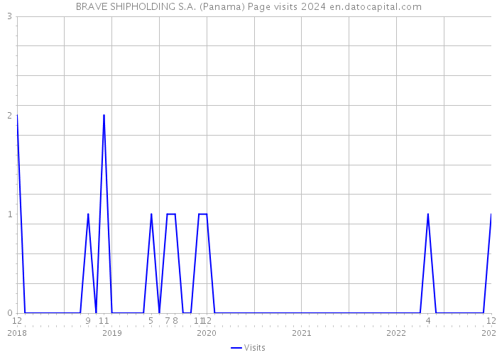 BRAVE SHIPHOLDING S.A. (Panama) Page visits 2024 