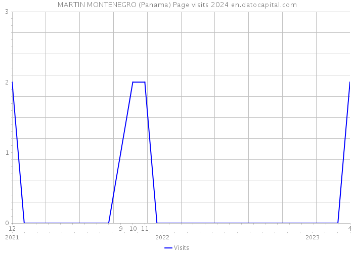 MARTIN MONTENEGRO (Panama) Page visits 2024 