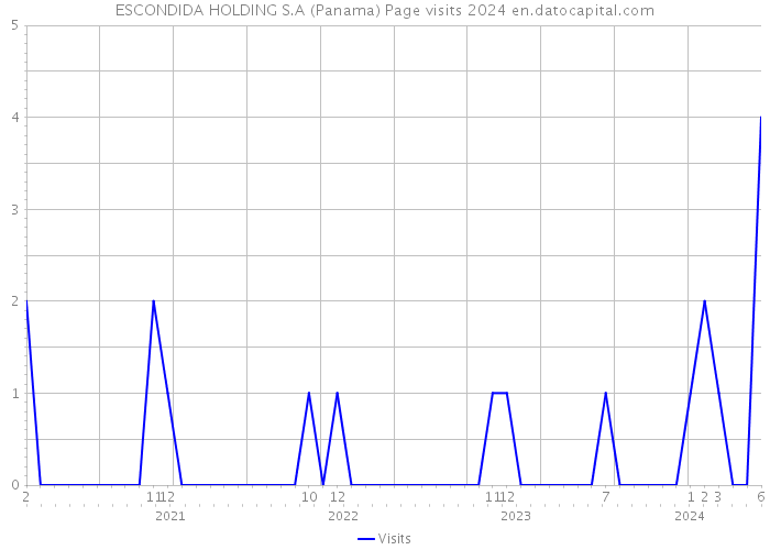 ESCONDIDA HOLDING S.A (Panama) Page visits 2024 