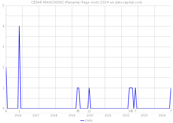 CESAR MANCHONG (Panama) Page visits 2024 