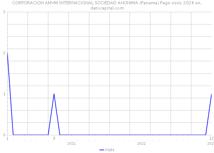 CORPORACION AMVM INTERNACIONAL SOCIEDAD ANONIMA (Panama) Page visits 2024 