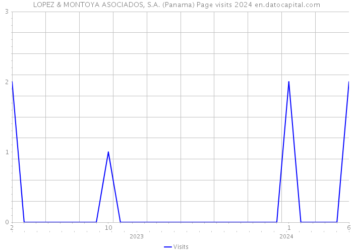 LOPEZ & MONTOYA ASOCIADOS, S.A. (Panama) Page visits 2024 