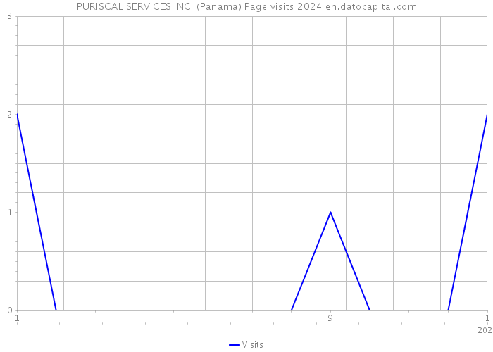 PURISCAL SERVICES INC. (Panama) Page visits 2024 