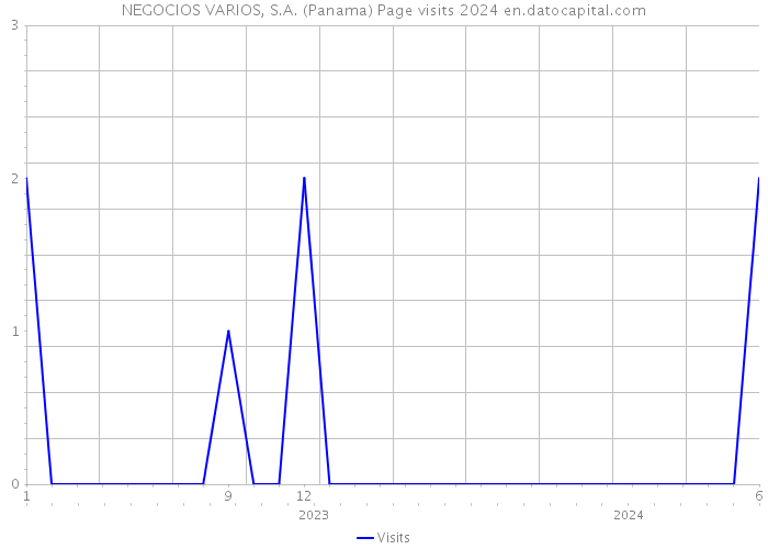 NEGOCIOS VARIOS, S.A. (Panama) Page visits 2024 