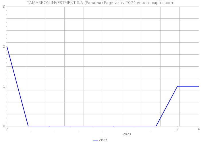 TAMARRON INVESTMENT S.A (Panama) Page visits 2024 