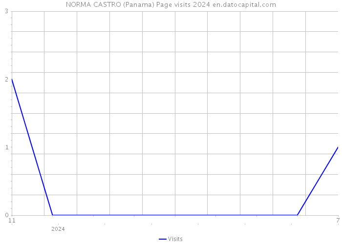 NORMA CASTRO (Panama) Page visits 2024 