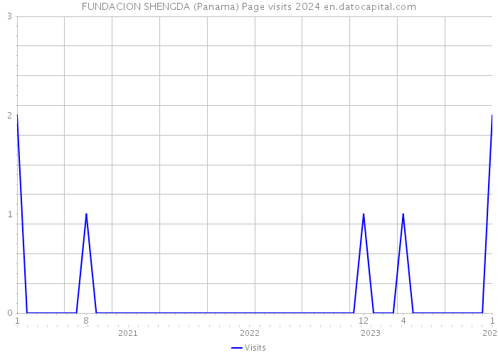 FUNDACION SHENGDA (Panama) Page visits 2024 