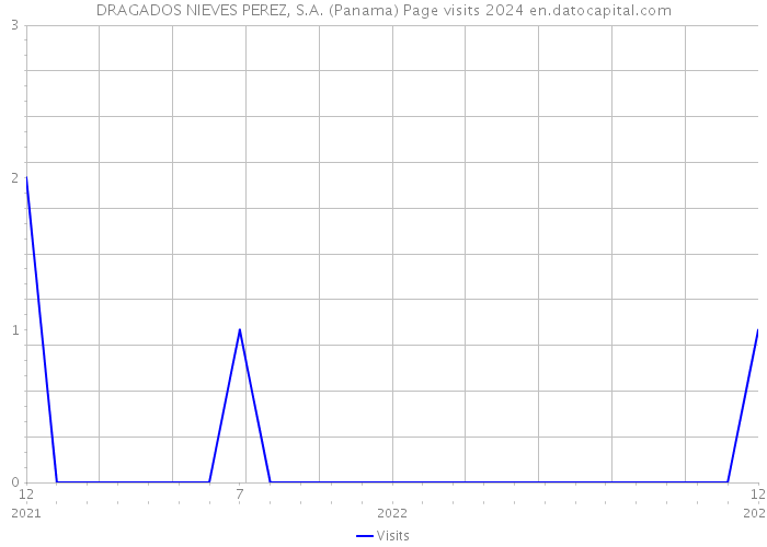 DRAGADOS NIEVES PEREZ, S.A. (Panama) Page visits 2024 