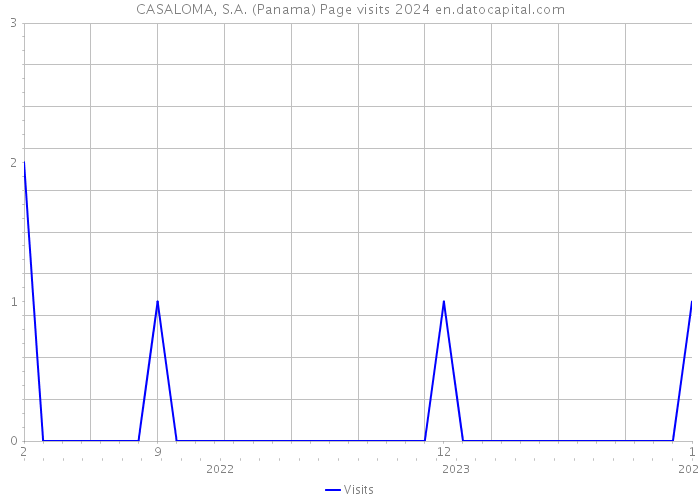 CASALOMA, S.A. (Panama) Page visits 2024 