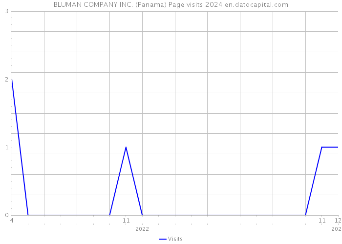 BLUMAN COMPANY INC. (Panama) Page visits 2024 