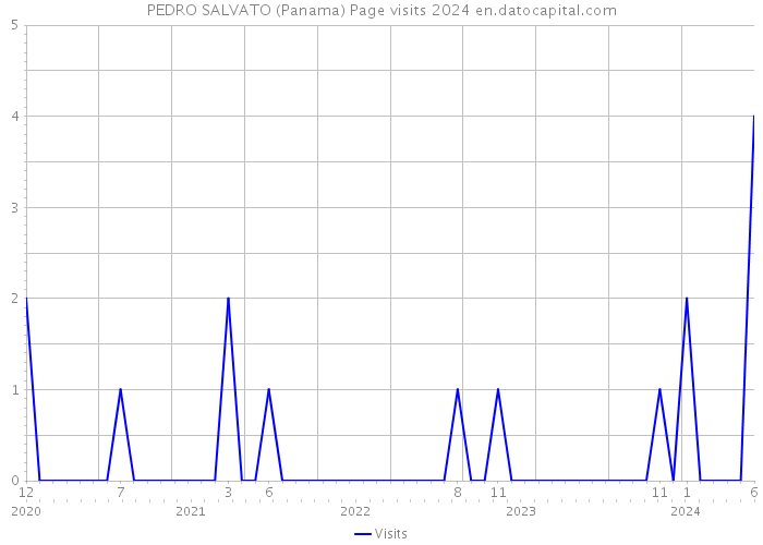 PEDRO SALVATO (Panama) Page visits 2024 