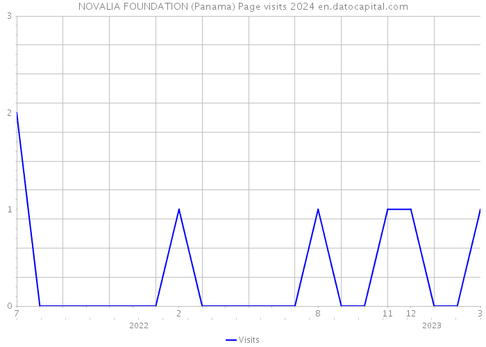 NOVALIA FOUNDATION (Panama) Page visits 2024 