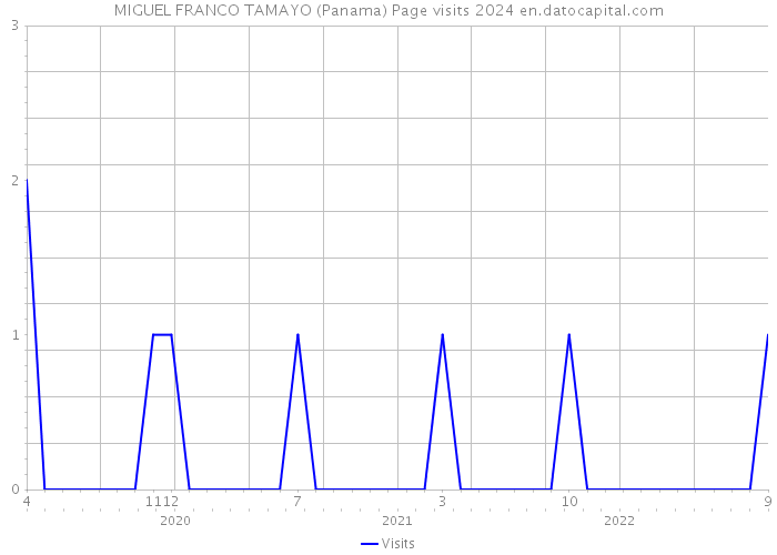 MIGUEL FRANCO TAMAYO (Panama) Page visits 2024 