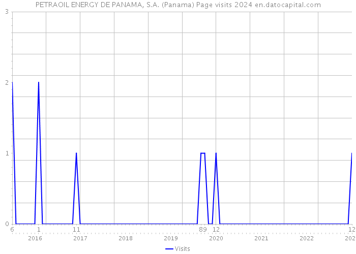 PETRAOIL ENERGY DE PANAMA, S.A. (Panama) Page visits 2024 