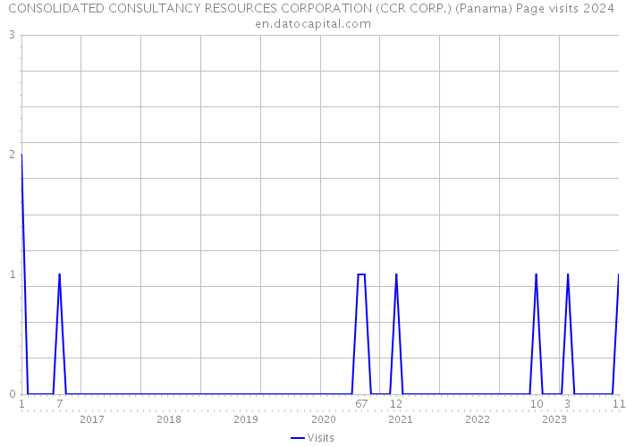 CONSOLIDATED CONSULTANCY RESOURCES CORPORATION (CCR CORP.) (Panama) Page visits 2024 