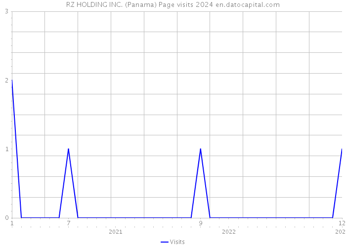 RZ HOLDING INC. (Panama) Page visits 2024 