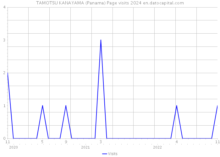 TAMOTSU KANAYAMA (Panama) Page visits 2024 
