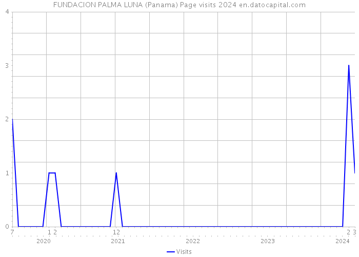 FUNDACION PALMA LUNA (Panama) Page visits 2024 