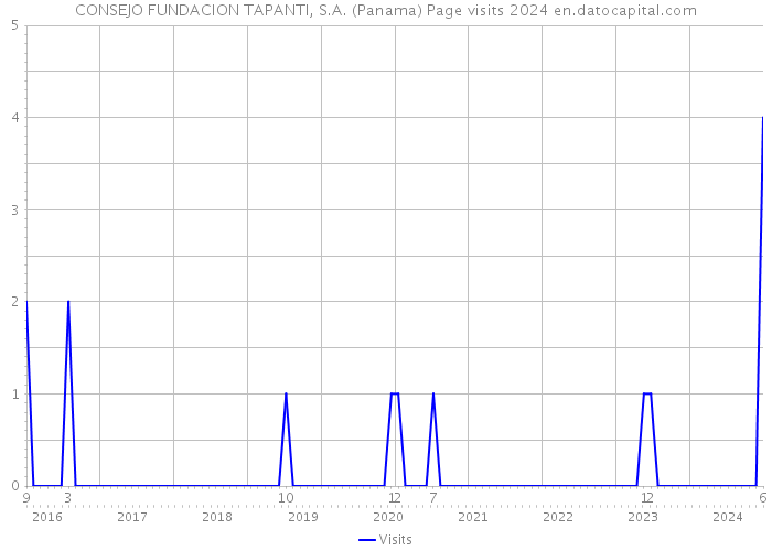 CONSEJO FUNDACION TAPANTI, S.A. (Panama) Page visits 2024 