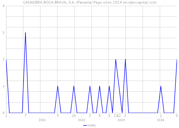 GANADERA BOCA BRAVA, S.A. (Panama) Page visits 2024 