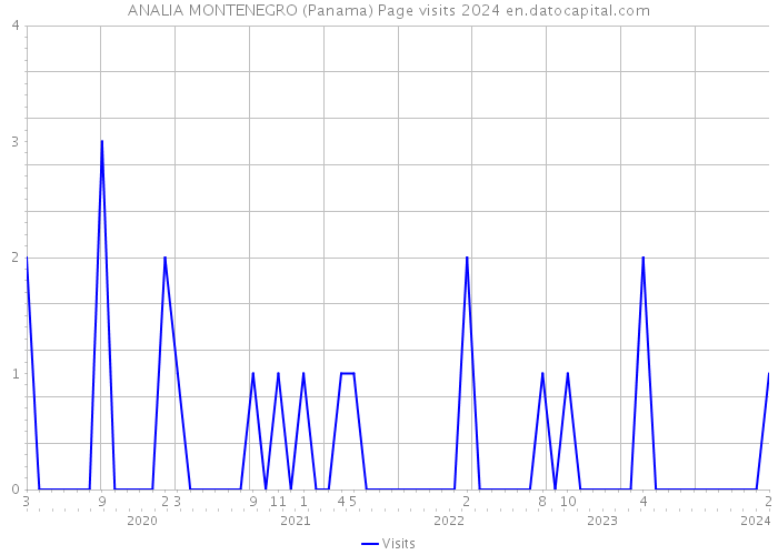 ANALIA MONTENEGRO (Panama) Page visits 2024 