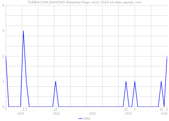FUNDACION JUANCHO (Panama) Page visits 2024 