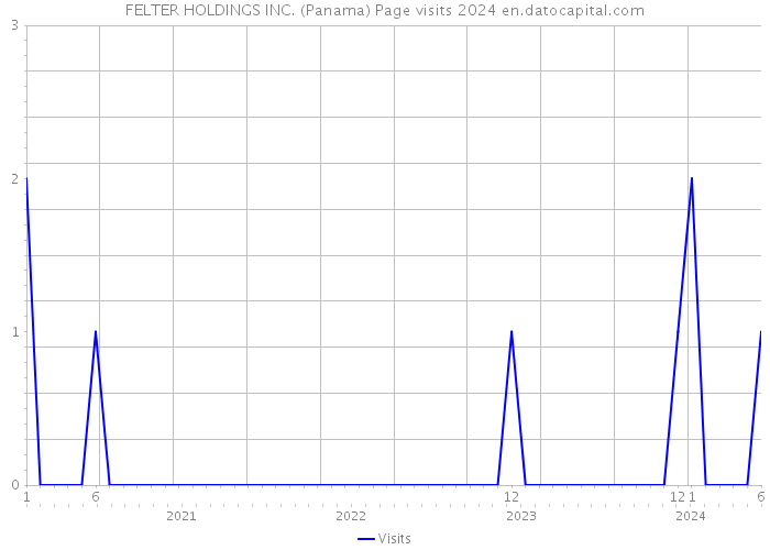 FELTER HOLDINGS INC. (Panama) Page visits 2024 