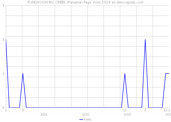 FUNDACION BIG CREEK (Panama) Page visits 2024 