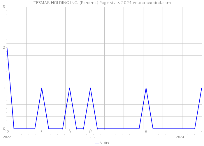 TESMAR HOLDING INC. (Panama) Page visits 2024 