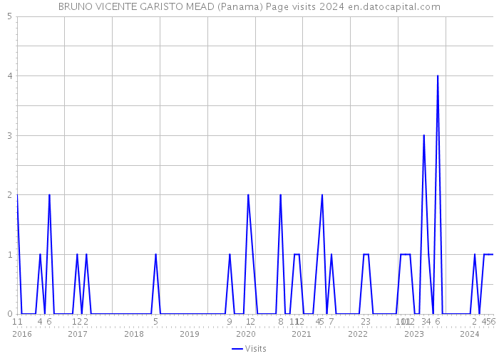 BRUNO VICENTE GARISTO MEAD (Panama) Page visits 2024 